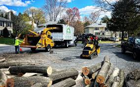 Reliable Great Falls, SC  Tree Services Solutions